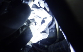 HONDA LEAD 125 2021 JF45
