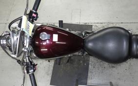 YAMAHA VIRAGO 250 3DM