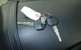 YAMAHA MT-25 A RG43J