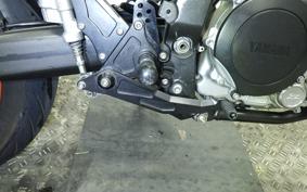 YAMAHA WR250X 2021 DG15J