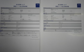 KAWASAKI NINJA H2 SX SE 2020