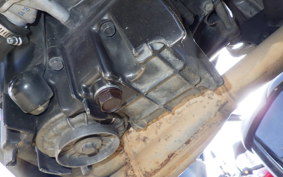 HONDA HORNET 250 MC31