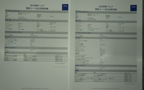YAMAHA X-MAX 250 A SG42J