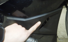 KAWASAKI NINJA 1000 SX 2021 ZXT02K