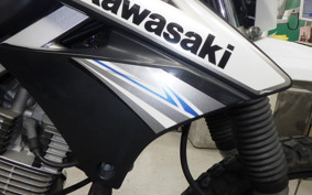 KAWASAKI KLX125 2018 LX125C