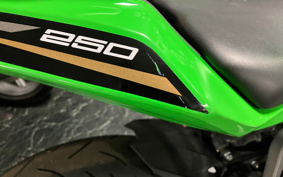 KAWASAKI NINJA ZX-25R KRT ED ZX250E