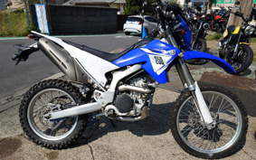 YAMAHA WR250R DG15J