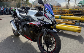 SUZUKI GSX250R DN11A