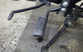 OTHER +UNREGISTERED MODEL by BDS250 1992