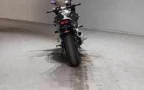 YAMAHA FZ1 FAZER 2010 RN21J