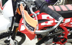 OTHER SWM RS125R 2022