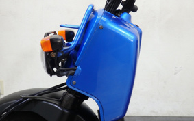HONDA ZUMAR AF58
