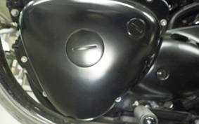 KAWASAKI W800 CAFE 2021 EJ800B