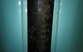 YAMAHA MINT 2005 1YU