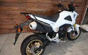 HONDA GROM JC61
