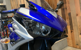 YAMAHA YZF-R25 RG10J