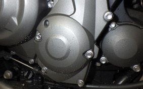 TRIUMPH TRIDENT 660 2022
