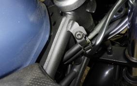 KAWASAKI NINJA 250 2022 EX250Y