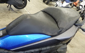 HONDA FAZE MF11