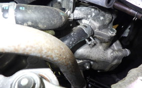 HONDA BENLY 50 2025 AA05