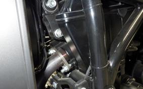HARLEY X500 2024