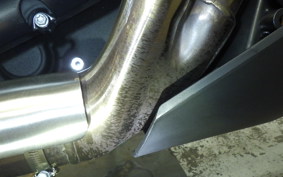 HARLEY ﾊﾟﾝ AMERICA1250ST 2025