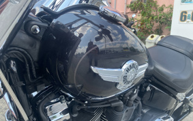 HARLEY FLFBS 2021 YGK
