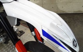 YAMAHA WR250X DG15J