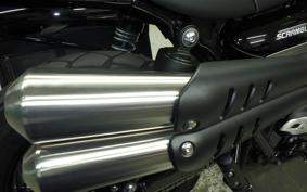 TRIUMPH SCRAMBLER 900 2024