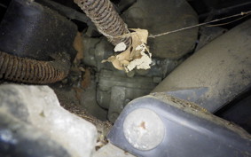 SUZUKI ADDRESS V100 CE11A