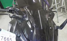 KAWASAKI NINJA 1000 2019 ZXT00W