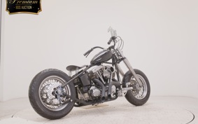 OTHER +UNREGISTERED MODEL by BDS1340 2026