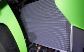 KAWASAKI ZX-4RR 2026 ZX400P