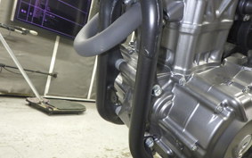 HONDA CRF250L 2024 MD47