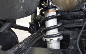 YAMAHA TT250R RAID 4GY