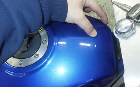 SUZUKI GOOSE 350 1993