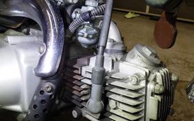 HONDA MONKEY 2022 Z50J