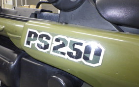 HONDA PS250 2025 MF09