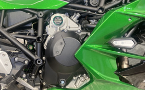 KAWASAKI NINJA H2 SX SE 2019 ZXT02A