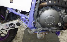 YAMAHA TT250R RAID 2009 4GY
