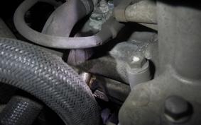 SUZUKI SKYWAVE 200 (Burgman 200) CH41A