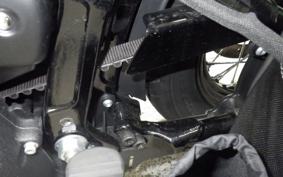 HARLEY FXBB1750 2019