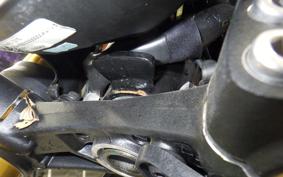 TRIUMPH SPEED400 2024