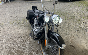HARLEY FLSTC 2017 BWV