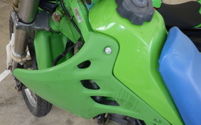 KAWASAKI KDX125 SR 2022 DX125A