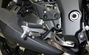 KAWASAKI NINJA1100SX 2025