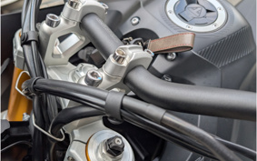 TRIUMPH TIGER 900 RALLY PRO 2024 TRE67D