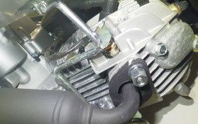 HONDA C50 SUPER CUB 2025 AA09
