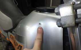 KAWASAKI SUPER SHERPA 2020 KL250G