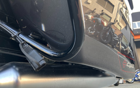 HARLEY  HARLEY FLHXSE CVO 2021 PXL